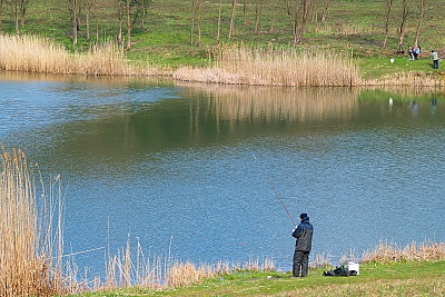 Foto #1 (C) Željko Klindžić