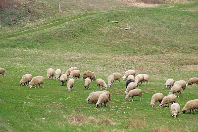 Foto #3 (C) Željko Klindžić