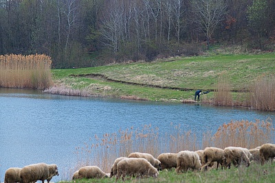 Foto #4 (C) Željko Klindžić