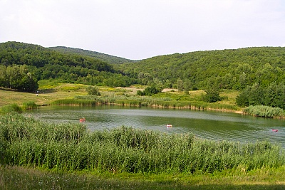 Foto #5 (C) Željko Klindžić