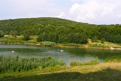 Foto #6 (C) Željko Klindžić