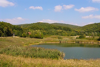 Foto #7 (C) Željko Klindžić