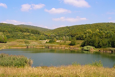 Foto #8 (C) Željko Klindžić