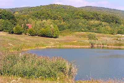 Foto #9 (C) Željko Klindžić