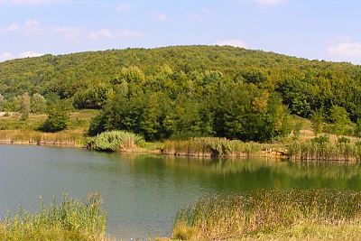 Foto #10 (C) Željko Klindžić