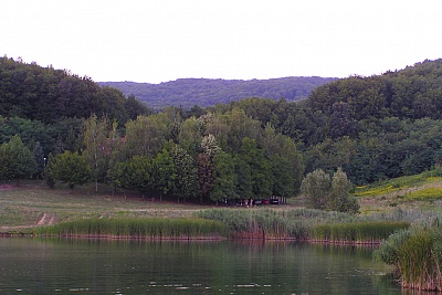 Foto #11 (C) Željko Klindžić