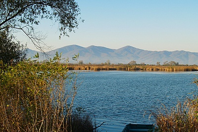 Foto #1 (C) Željko Klindžić