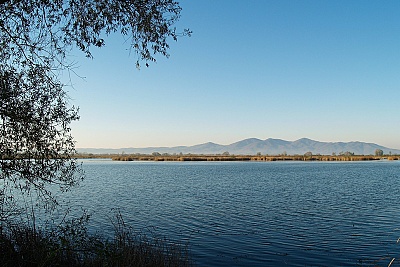 Foto #3 (C) Željko Klindžić