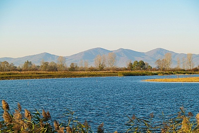 Foto #5 (C) Željko Klindžić