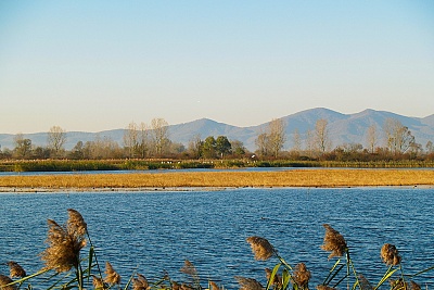 Foto #6 (C) Željko Klindžić