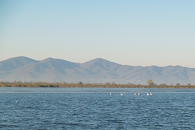 Foto #8 (C) Željko Klindžić