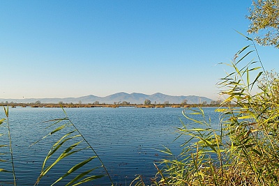 Foto #9 (C) Željko Klindžić