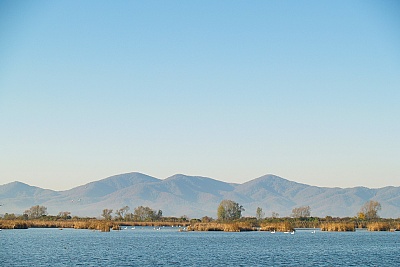 Foto #10 (C) Željko Klindžić