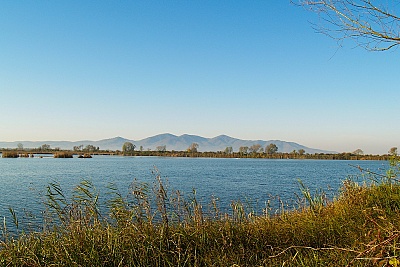 Foto #11 (C) Željko Klindžić