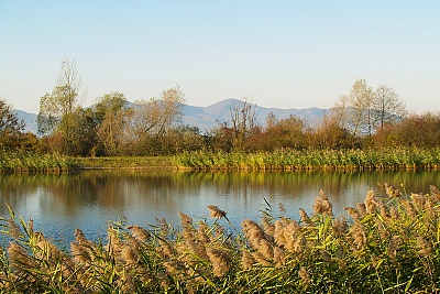 Foto #12 (C) Željko Klindžić