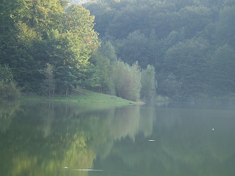 Jezero Petnja, nedaleko od Slavonskog Broda, priroda