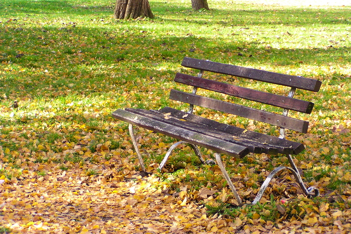 Park Klasije, Slavonski Brod. Foto Željko Klindžić