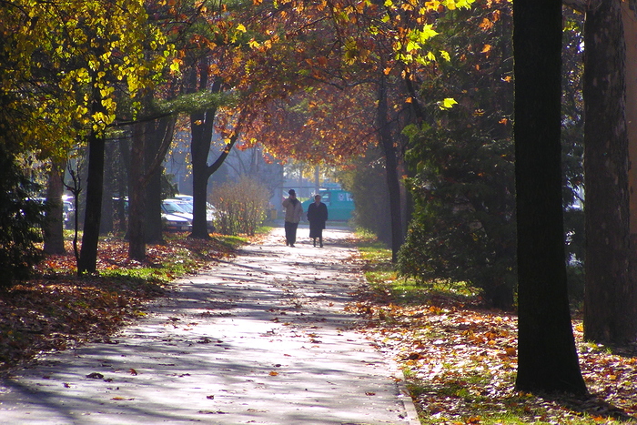 Slavonski Brod, Park Klasije, foto Željko Klindžić