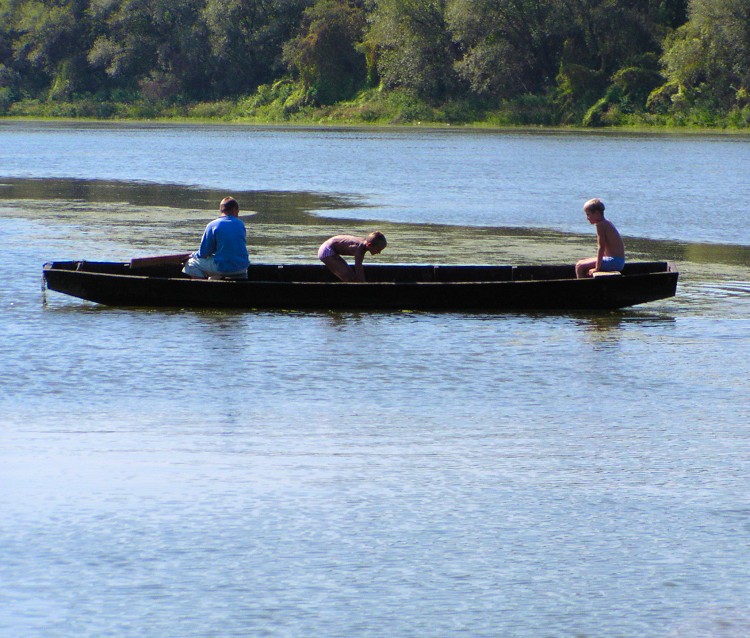 Sava, Slavonski Brod, klinci