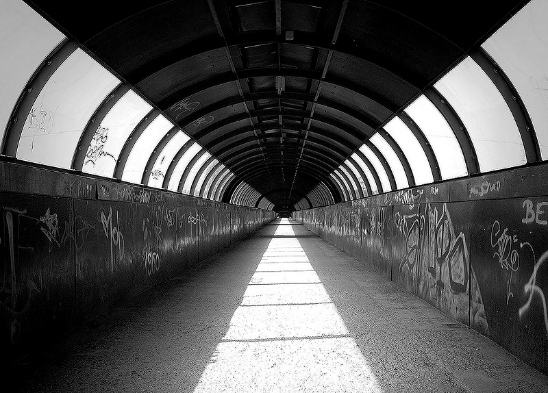 Izložba: The Art of All Back (1)