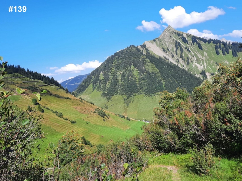 Izložba, Our Amazing Planet, Velebit (1)