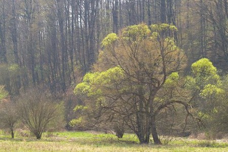 Jezero Petnja - lokacija za dobre fotke