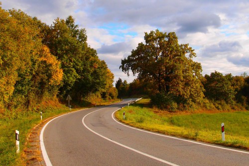 Drugarice i drugovi internetisti