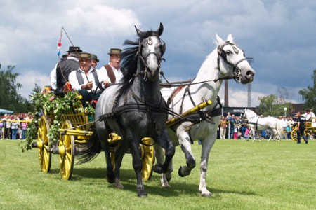 Peta smotra pučkih igrokaza u Sikirevcima