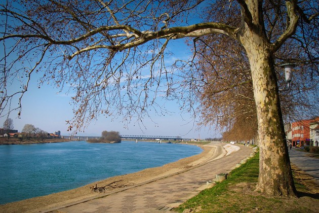 Priroda, Sava, Slavonski Brod