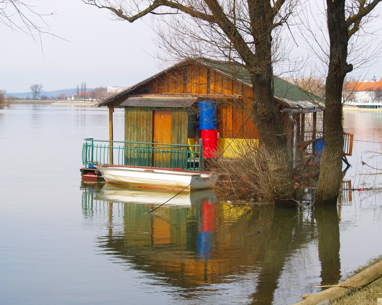 Sava, visoka voda (2010)