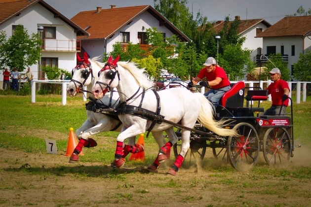 Zvali su ga Slavonski Schumacher