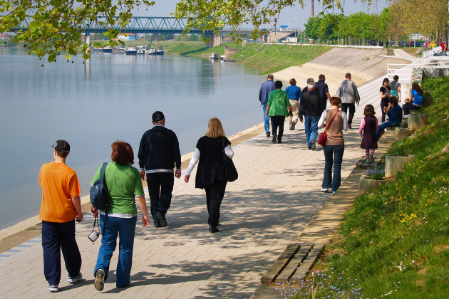 Mnogi mladi Brođani su ptice selice